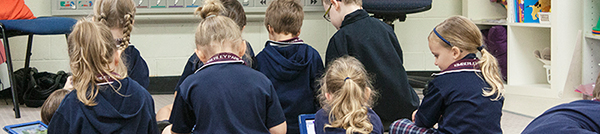 curriculum